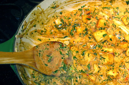 INDIAN CURRIES (Choose Any One)